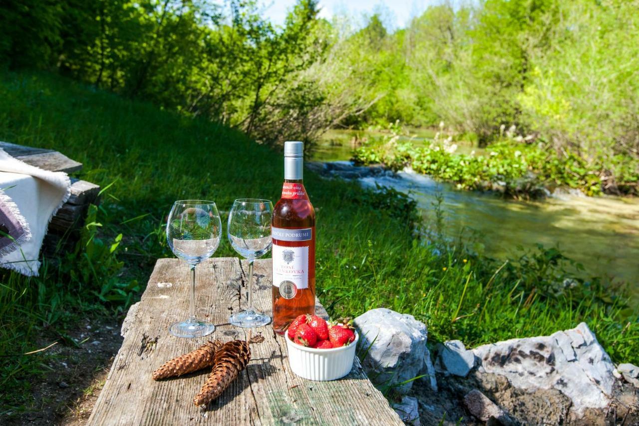B&B Plitvica Creek Plitvica selo Luaran gambar